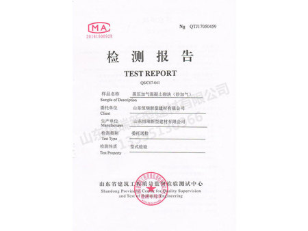 檢測報告