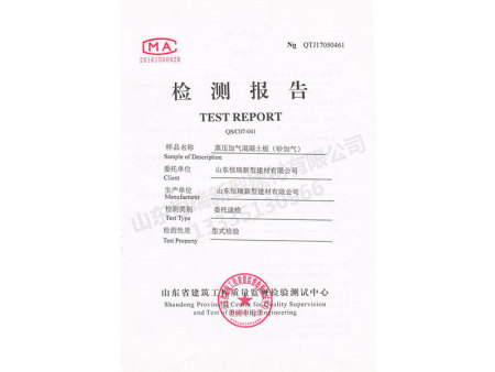 檢測報告